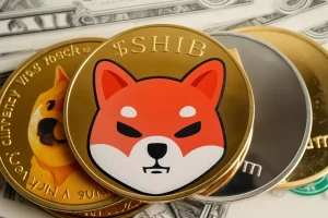 Why Shiba Inu’s Shibarium Is Set to Revolutionize Transaction Efficiency